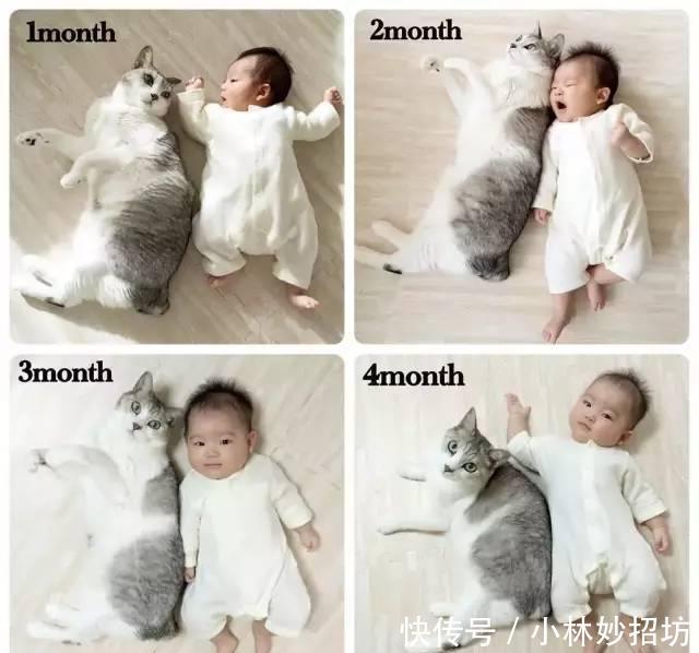 还在相信怀孕不能养宠物吗？ 连央视新闻都出来辟谣了!