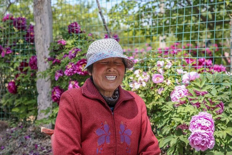 『欣赏牡丹花』71岁农民耗时40年家门口建牡丹园,1株镇园之宝10万不卖,啥样子