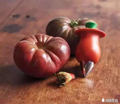 活捉“外星人”——盘点世界十大伪科学骗局事件