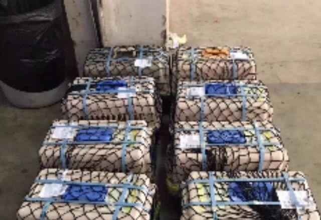 有没有宠物托运