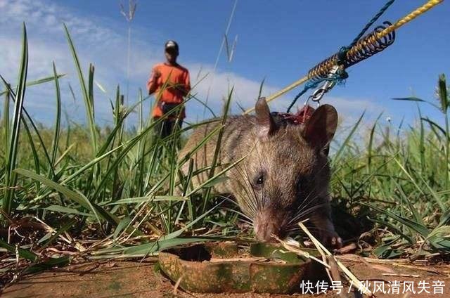 中国最危险的一个村子，普通人看到绕着走，特种兵都不敢随便进入