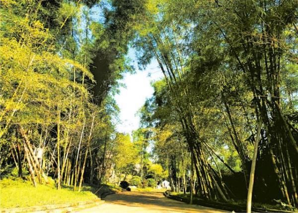 南宁青秀山风景区新东区将开放 哪些景点不容错过？“剧透”看点