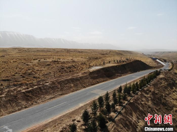  大规模：甘肃肃南大规模植树荒原 祁连山下添林也造景