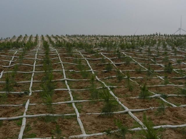  「中国」中国这款特种车成功问世，固沙技术十分先进，沙漠土地