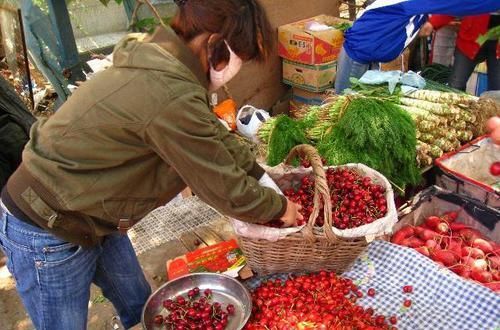  「利润」樱桃新鲜上市，农民“赔本”卖，城市人“咬牙”买，利