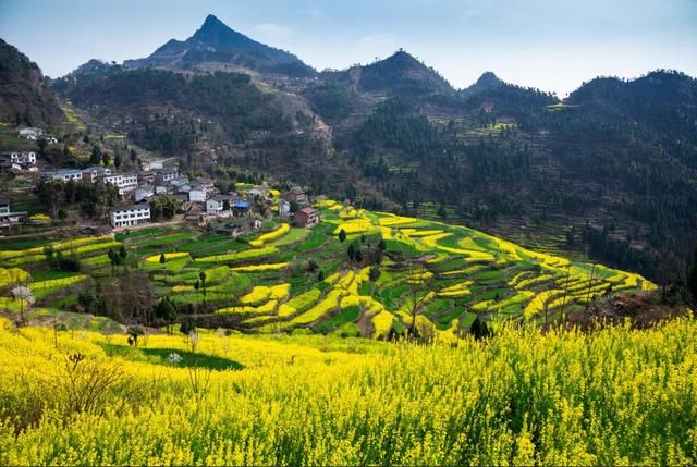  【马村贡米】走进青川县建峰镇