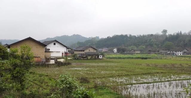 和专家们，算一笔账，种一亩地，到底能赚多少钱?补贴金多吗