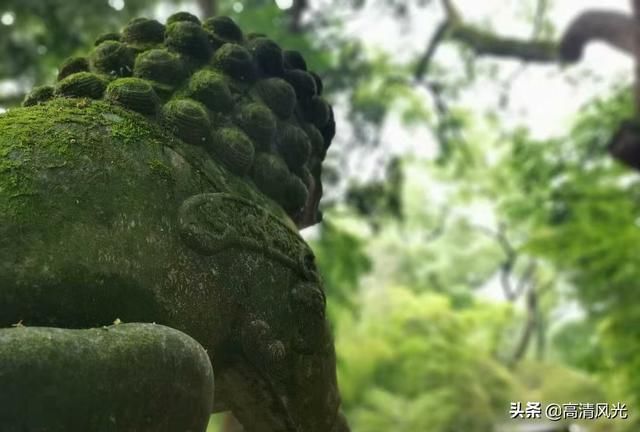 寺若成，国既清 隋代古刹国清寺清明一行 免费的5A景区