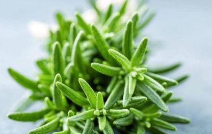 脸上毛孔被螨虫“堵住了”,会具备3个特征,别等烂脸后才后悔