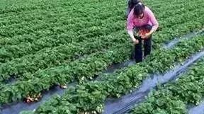 这几种无中生有的谣言，坑害了多少老百姓