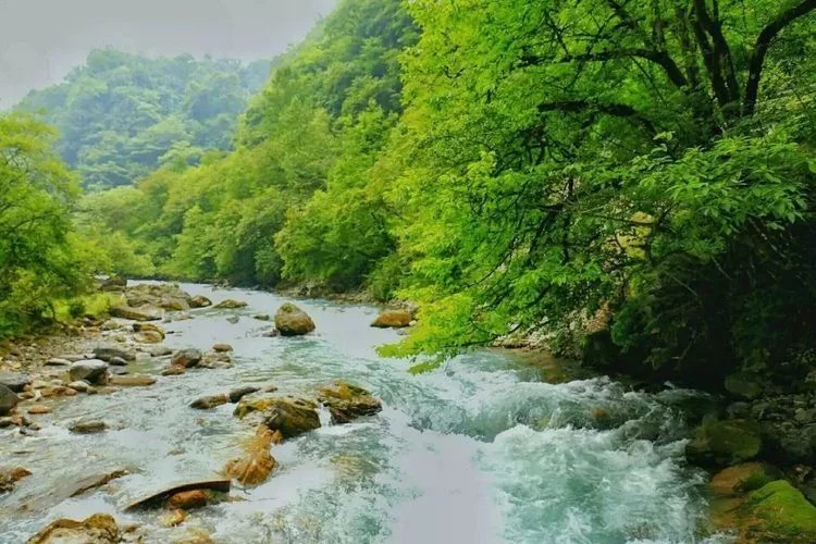 不输九寨的四季皆景,川藏线茶马古道的起点!【在线观看】