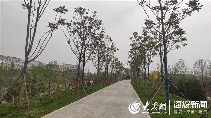  [跨环堤河桥梁]菏泽句阳路环堤河桥主体已完成90% 预计5月底通车