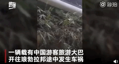 14死30伤!中国游客大巴国外重大车祸翻滚坠山