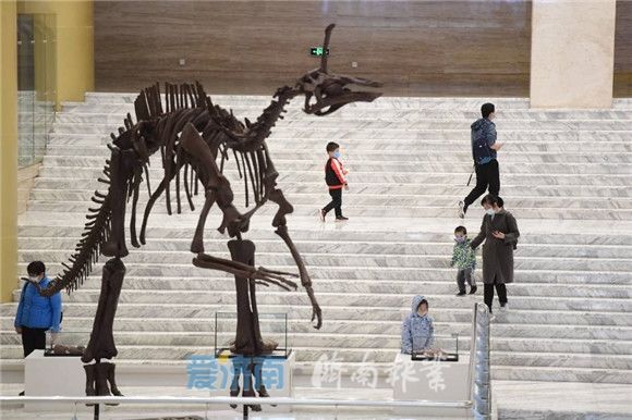  [疫情防控期间]山东博物馆等三馆恢复开放