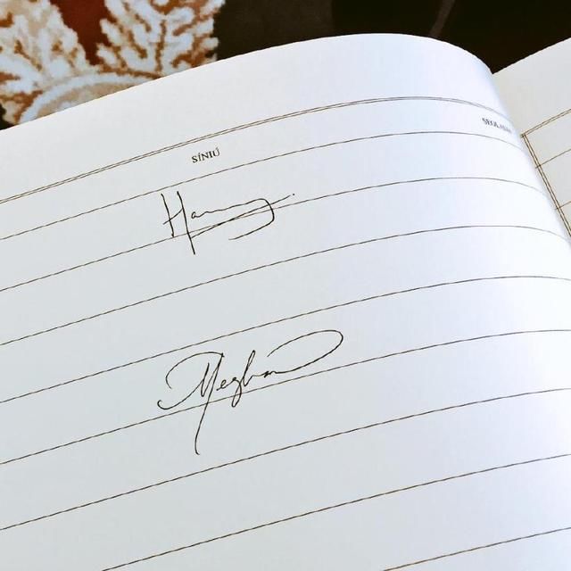 梅根会穿衣字还好看，爱尔兰出访一身行头竟140美元不到，秒售罄