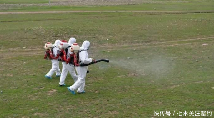  危难|巴基斯坦危难之际，中方果断出手，兄弟齐心，其利断金