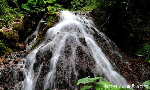 这个景区在河南，因景色美人来了不想走，瀑布群花海翠竹要素太多