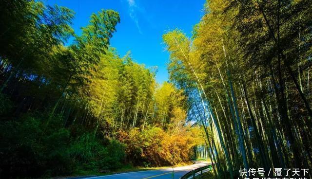 安徽旅游:大山深处一抹红,马丁公路、马鬃岭秋色美翻了