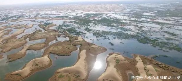  结果@中国内蒙古发生奇迹将黄河的水引入沙漠之后，竟出现这种结