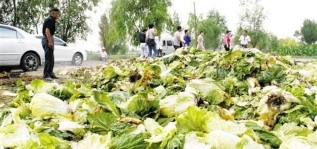  「慢慢」俗语“房子要小，土地要少，养头黄牛慢慢搞”，农民经