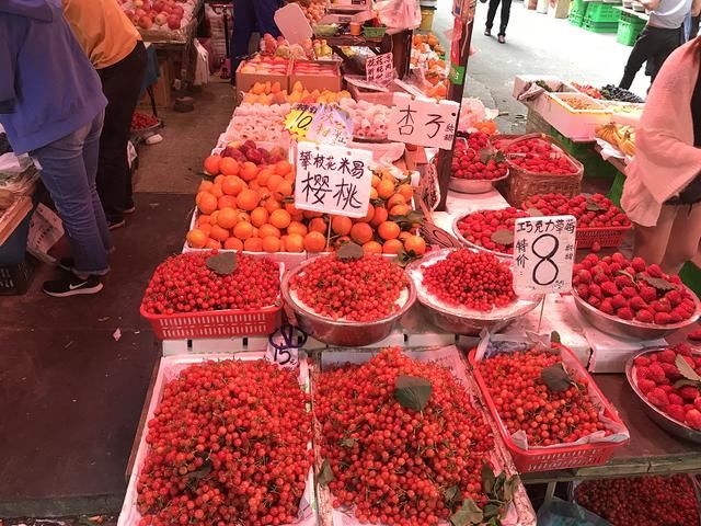 樱桃红了枇杷黄了,价格让市民肉疼,最贵50元