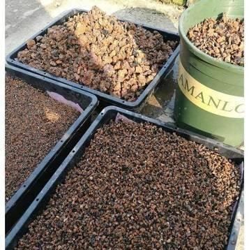  「疏松透气」家中养花，配好土，养份足，几种“小料”掺一掺，扔土里就生根