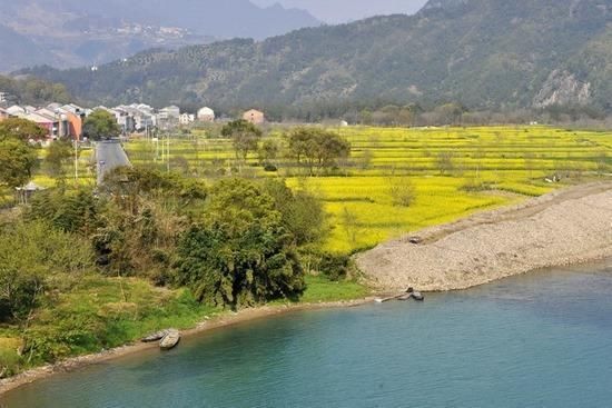 重庆到陕西正在修建一条高速，全长203公里，有你家乡吗？