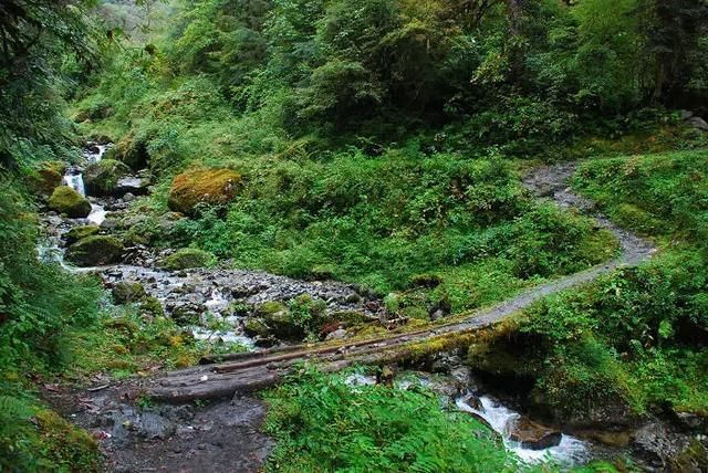 那些隐秘世外的墨脱美景，是不容错过的神奇!