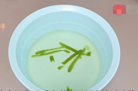 丝瓜皮别再扔掉了，一般人都不知道它的作用，我也后悔没早点知道