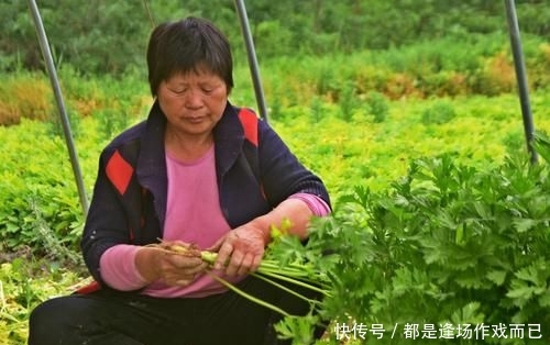  「老两口」农村人种植蔬菜，家家盖起了小洋楼，离不开一种人的