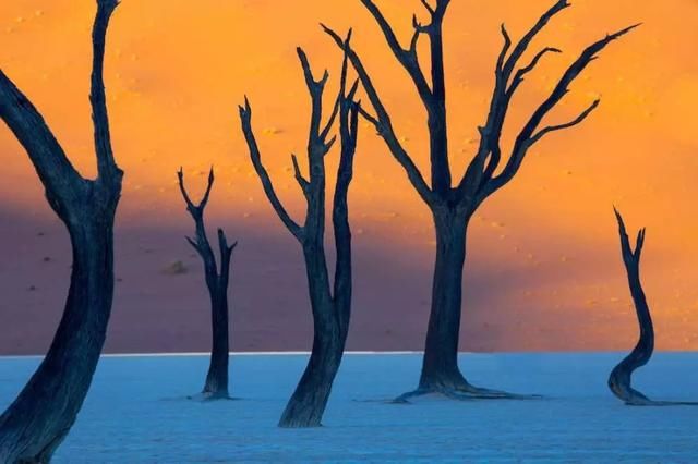 这几张张未经PS的照片，每一张都美得让人窒息！