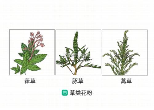  「腾讯医典」春天易过敏？别怕！专家揭秘5种常见的吸入性过敏原，一文教你怎么防