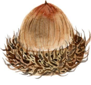 远离大理丽江，这才是国庆云南旅游最正确的打开方式！