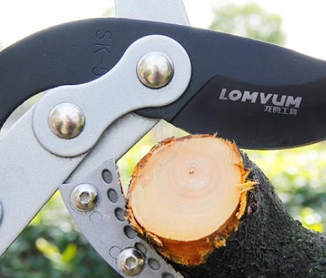 中国“新农具”一出，喷雾器没戏了！节省人力收工早，才2碗面钱