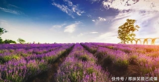 全世界7个最浪漫的地方,中国只有的这个,在新疆!