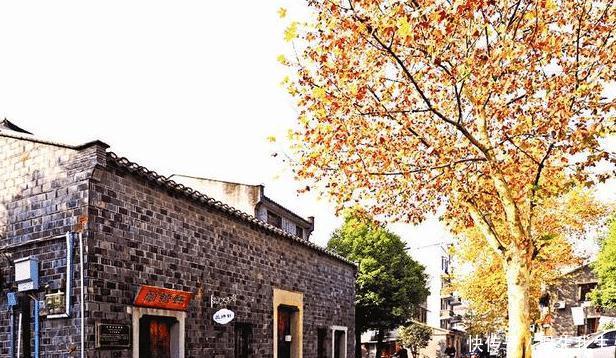 人生最大的失误,就是信了武汉的“谎言”!