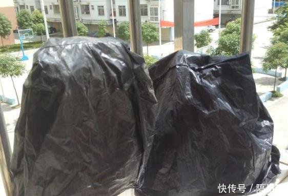  花盆@方便袋别乱扔，套在花盆上，保温保湿用处大，花苞叽里咕噜挤满盆
