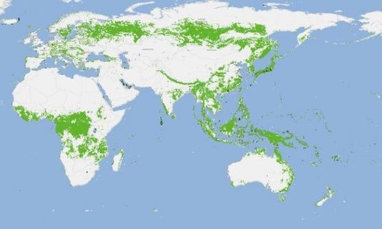  [增长]我国绿化出好消息，森林面积增长18%，地图显示中国越来越