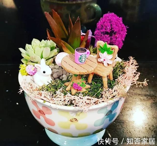 「装饰」在茶杯里建花园,美到惊艳!31万网友疯狂点赞