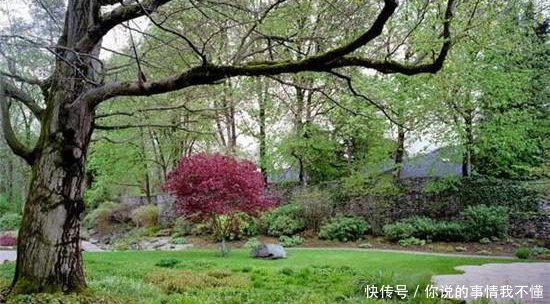  深圳@看完德国的富人区，再看中国的富人区，一个住富豪一个住土豪