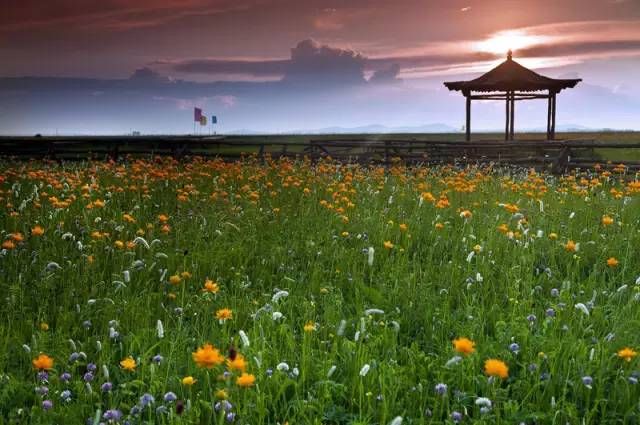 中国最美的30个地方（完整版）终于找齐了！第一居然是…