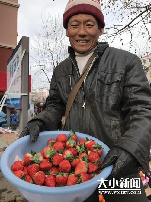  今冬@今冬水果价格比去年低了一大截！砂糖桔10元3斤，85#苹果每