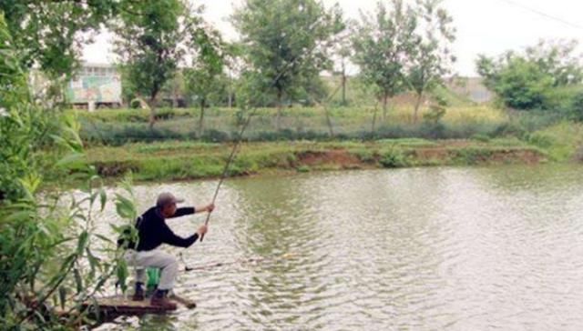  礼拜：国庆放假，看看我这套鲫鱼钓法，一个礼拜连钓6天，学着点