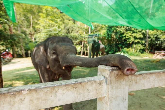 【女神级游记】与我的小甜心在苏梅岛,享受阳光、海滩