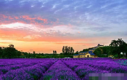 中国这4座古都记载了中华的历史，文化底蕴深厚，快看看有没有你