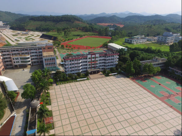 热烈庆祝郁南县职业技术学校喜获广东省依法