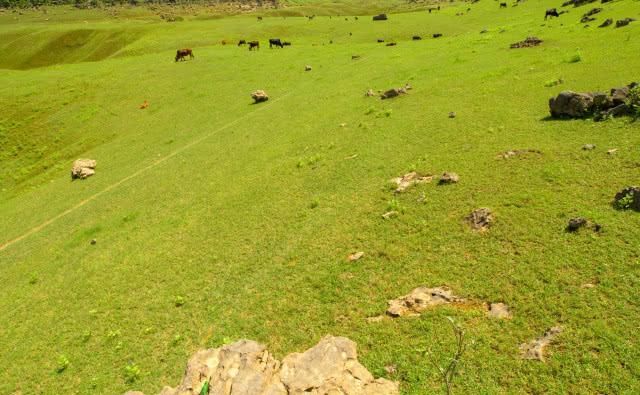 广西最后的香格里拉，极为原始纯净且没被开发，被誉为“小桂林”