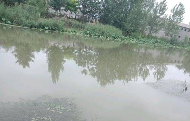  价格：钓大鱼和鱼竿的价格有关吗？40块钱的鱼竿钓不上大鱼是怎么回事？