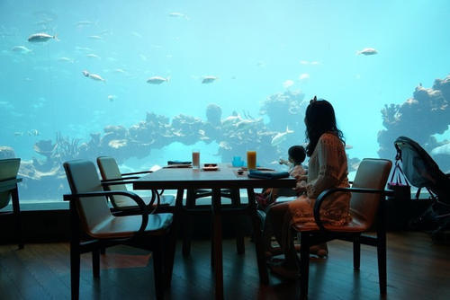 和萌宝的幸福三亚之行