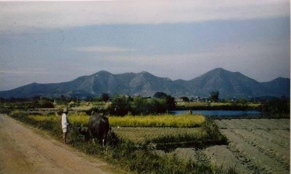  「镜头」美国飞虎队镜头下1945年的中国农村